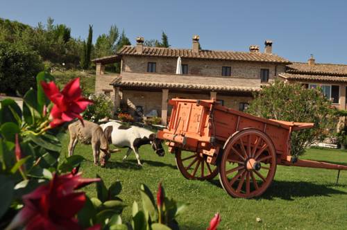 Todi Italy Extreme Hotel Promo Code for Booking.com