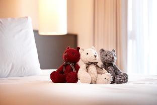Jeju Island South Korea Extreme Hotel Promo Code for Agoda.com