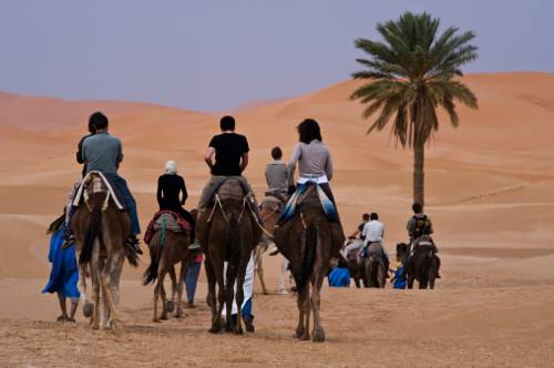 Merzouga Morocco Extreme Hotel Promo Code for Booking.com